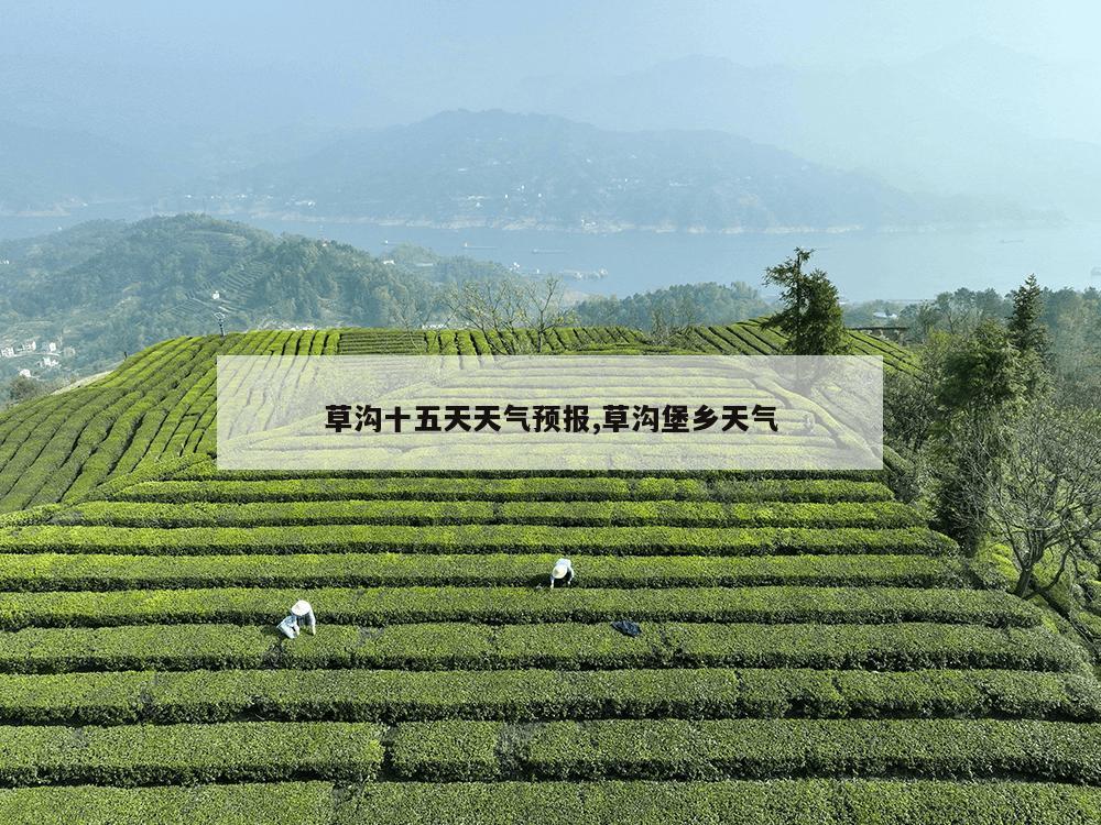 草沟十五天天气预报,草沟堡乡天气