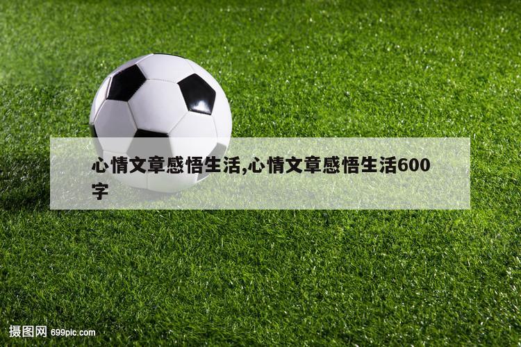 心情文章感悟生活,心情文章感悟生活600字