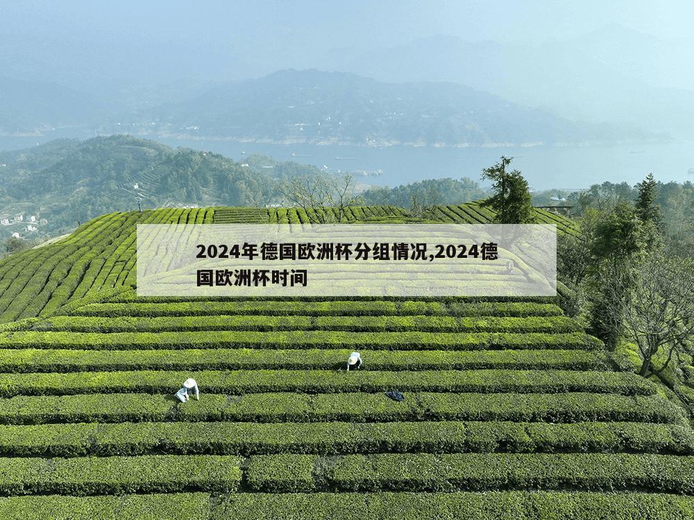 2024年德国欧洲杯分组情况,2024德国欧洲杯时间