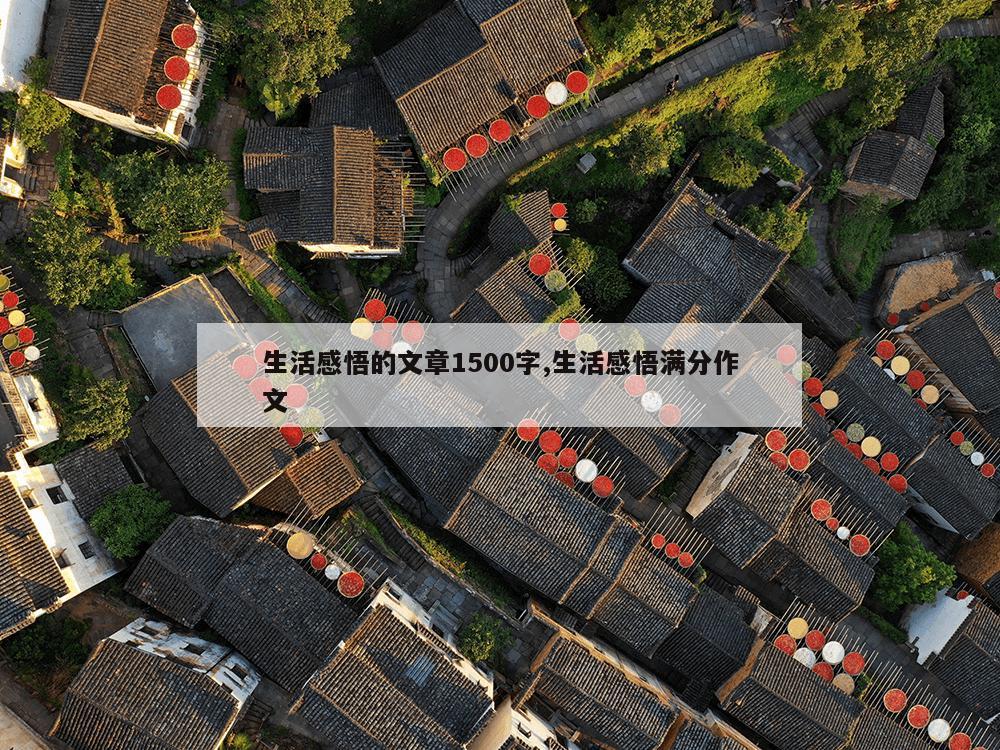 生活感悟的文章1500字,生活感悟满分作文