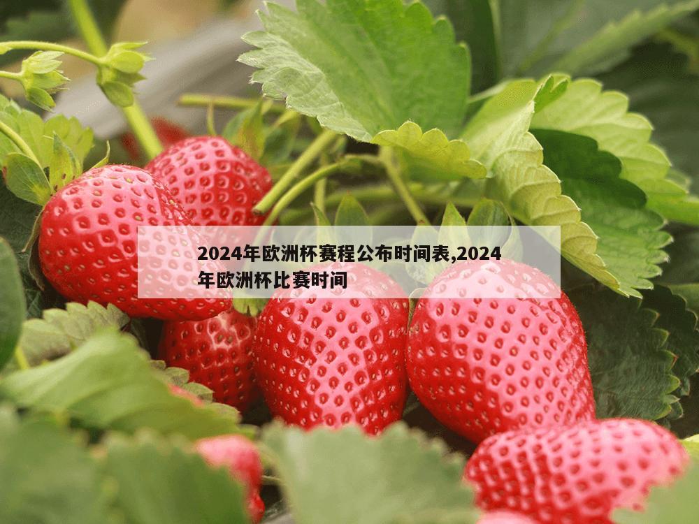 2024年欧洲杯赛程公布时间表,2024年欧洲杯比赛时间