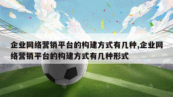 企业网络营销平台的构建方式有几种,企业网络营销平台的构建方式有几种形式