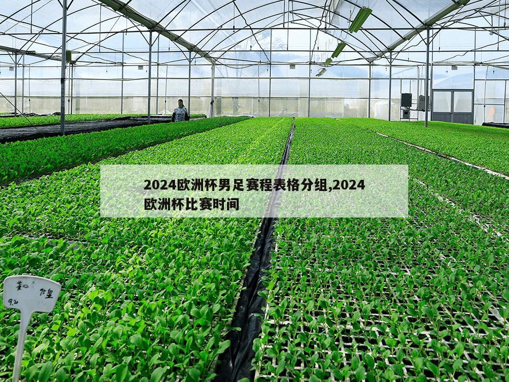 2024欧洲杯男足赛程表格分组,2024欧洲杯比赛时间