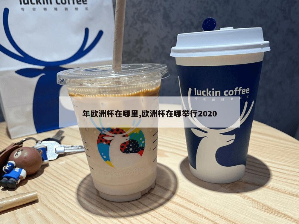 年欧洲杯在哪里,欧洲杯在哪举行2020