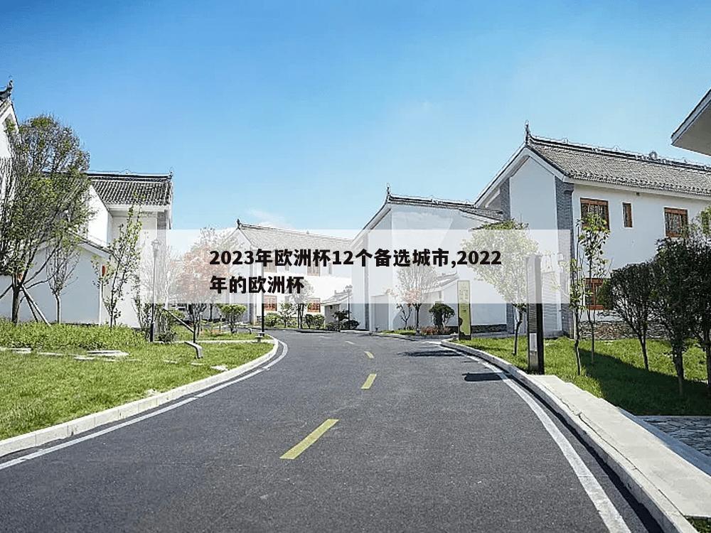 2023年欧洲杯12个备选城市,2022年的欧洲杯