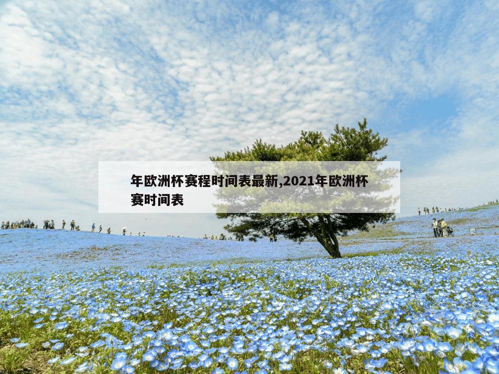 年欧洲杯赛程时间表最新,2021年欧洲杯赛时间表