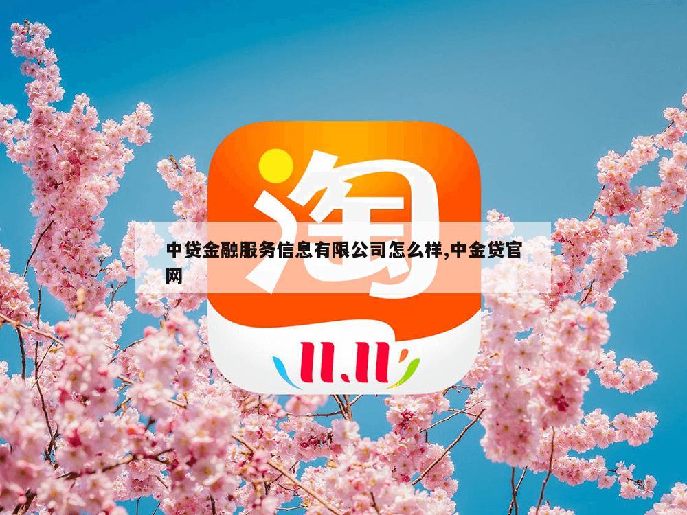 中贷金融服务信息有限公司怎么样,中金贷官网