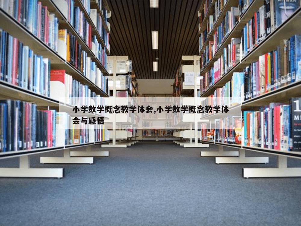 小学数学概念教学体会,小学数学概念教学体会与感悟